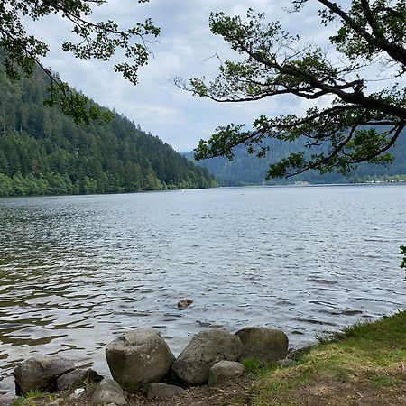 Charmant Chalet, Spacieux, Proche Du Lac, Vue Sur La Montagne Жерарме Екстер'єр фото