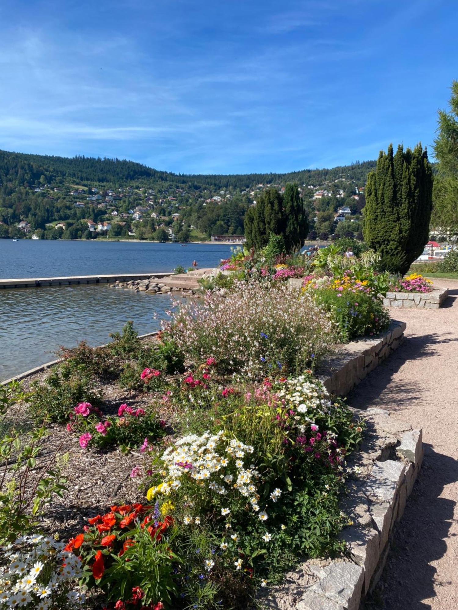 Charmant Chalet, Spacieux, Proche Du Lac, Vue Sur La Montagne Жерарме Екстер'єр фото